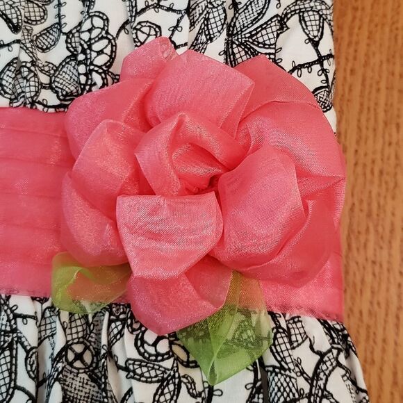 EUC Beautiful Black White Pink Floral Dress Sz 6X - Picture 5 of 8